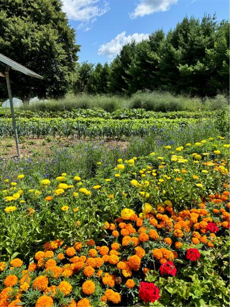 LGBTQ2+ flower border