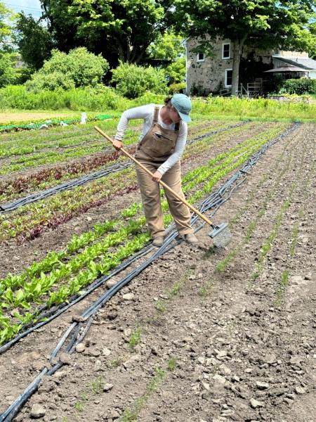 GCUOF student showing how to weed