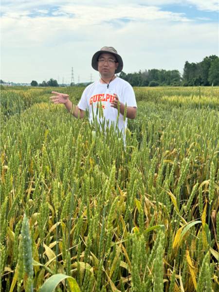 Zhanghan Zhang in a wheat field